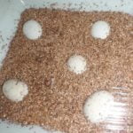 Fiji Crested Iguana eggs being artificially incubated