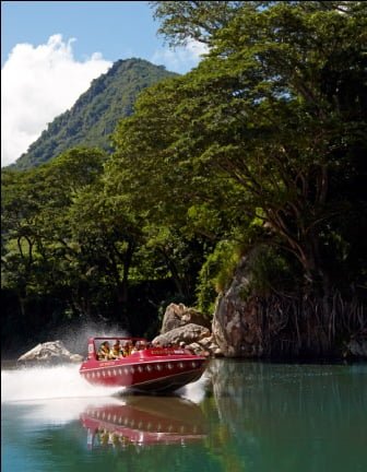 Sigatoka River Safari - “Simply Unforgettable”