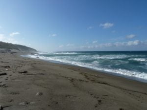 The Sigatoka Sand Dunes National Park