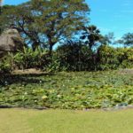 Lush Green Grounds within the Village setting