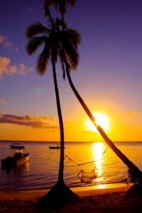 Sun Set Mango Bay
