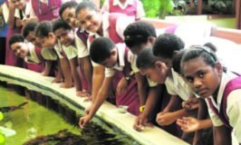 Students of Saint Joan of Arc School in Sigatoka feed turtles at the Kula Eco Park at Korotogo on 16 May 2018. Photo: Arieta Vakasukawaqa
