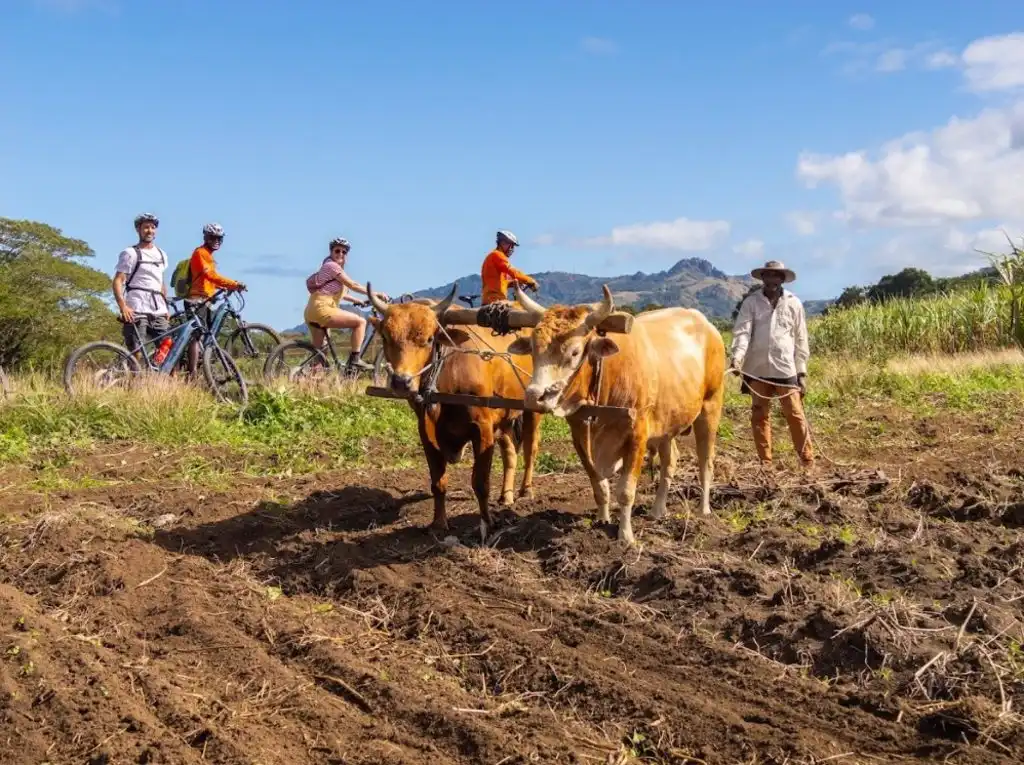 In 2024, iBike Fiji was officially launched and it filled a gap in the local tourism scene by offering something truly unique.