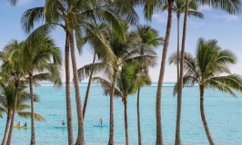 The unexpected adventures waiting on Fiji’s Coral Coast